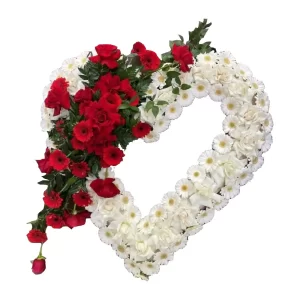 Arco Coração Exclusiva C